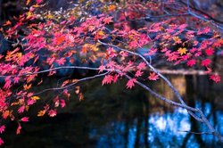 青娱乐91热门影视推荐